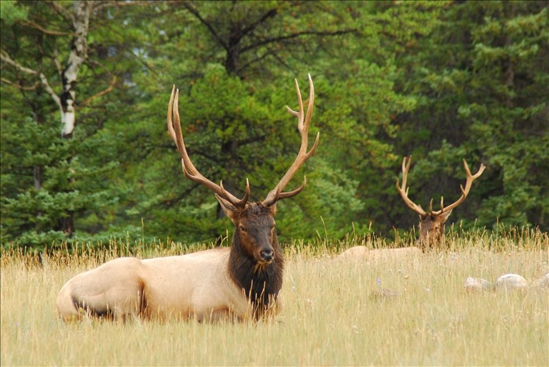 Give Your Opinions on Big Game Structures | Colorado
