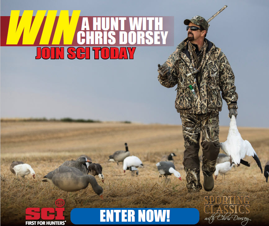 Enter to WIN and Appear in New SCTV Series