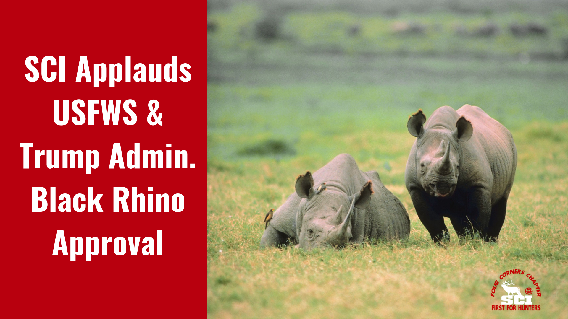SCI Applauds USFWS & Trump Admin. Black Rhino Approval