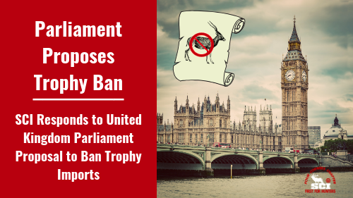 Parliament Proposes Trophy Import Ban