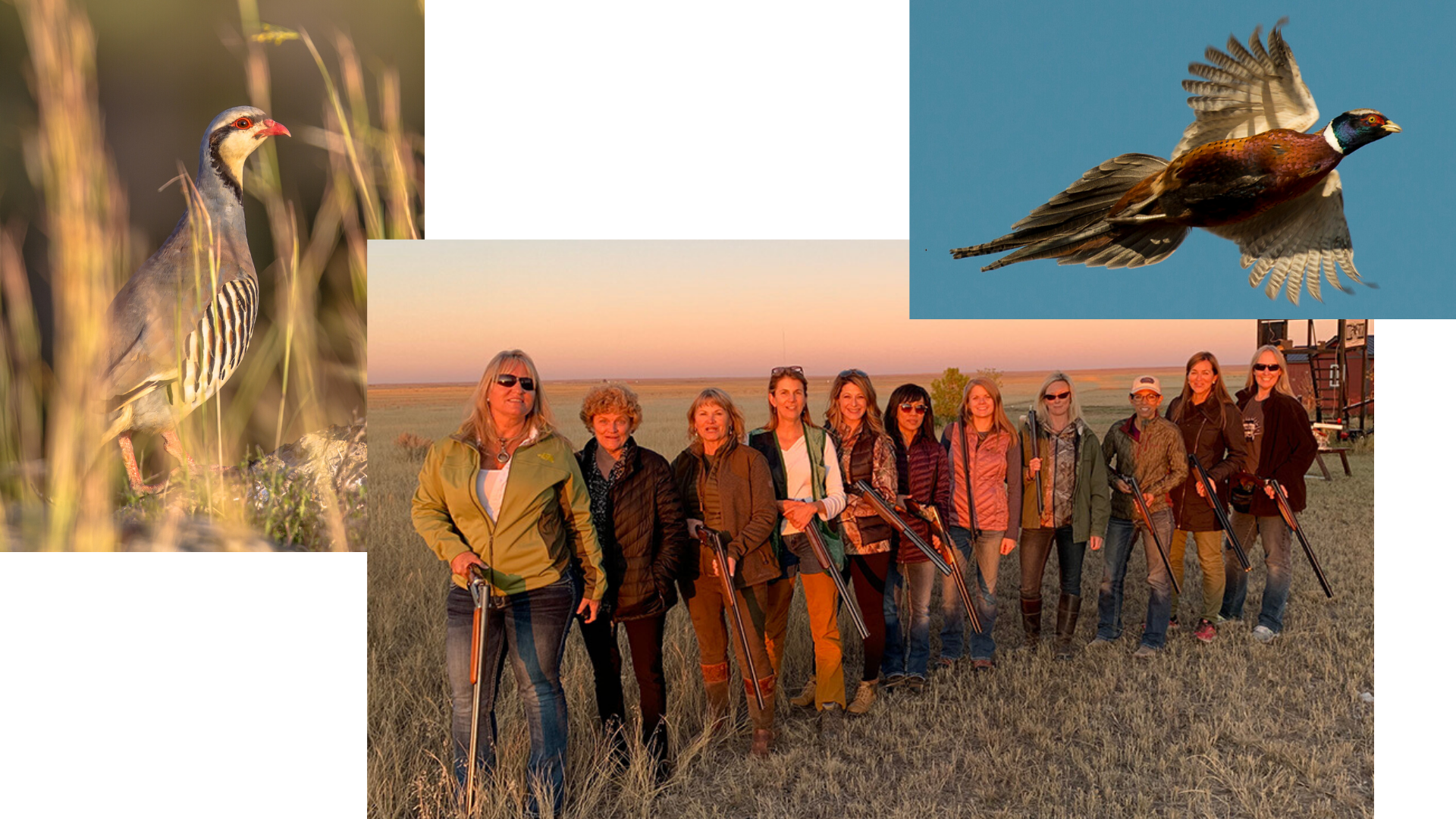 Ladies Wingshooting at the Bluffs – Byers, Colorado