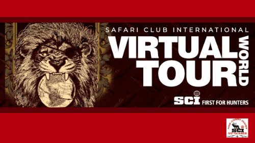 SCI’s Virtual World Tour