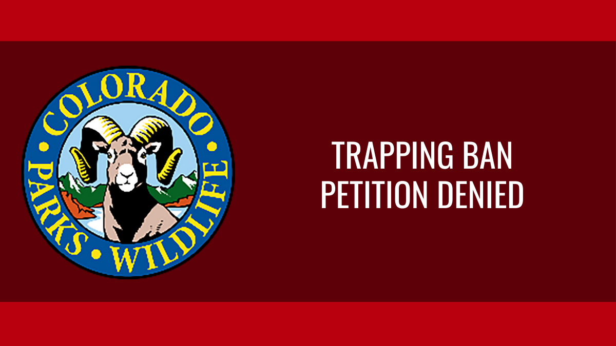 CPW Commission Denies Petition to Ban Trapping | Colorado