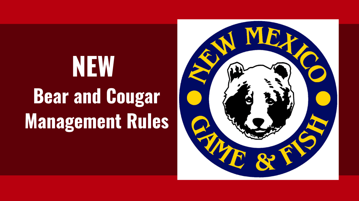 Bear and Cougar Management Changes | New Mexico