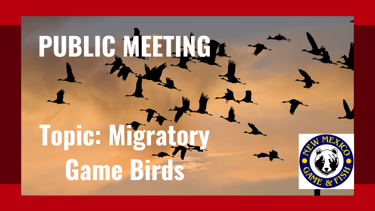 Migratory Game Bird Rule Public Meeting | New Mexico