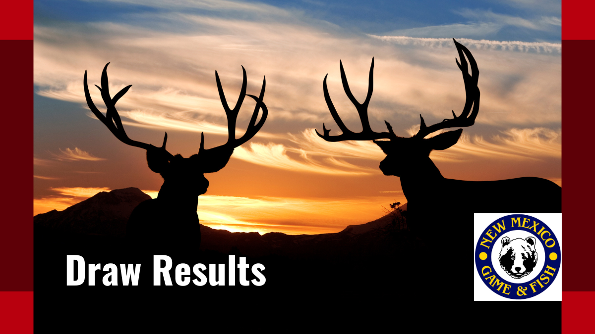 Draw Results Released | New Mexico