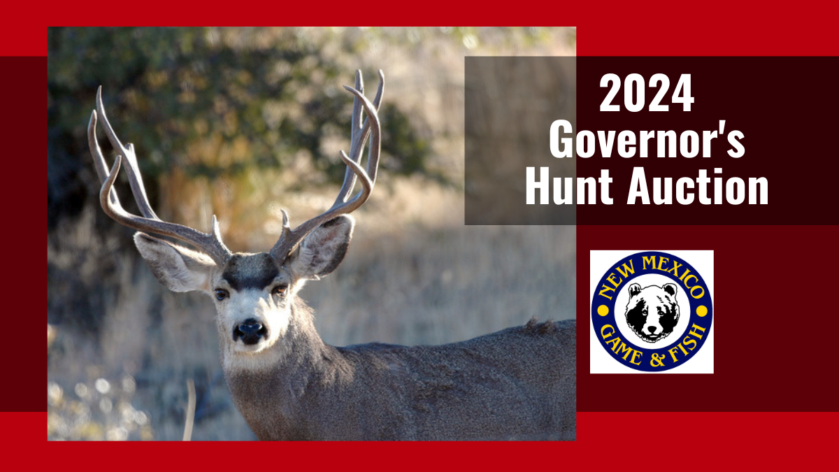 Governor’s Special Hunt Auction Online for 2024 | New Mexico