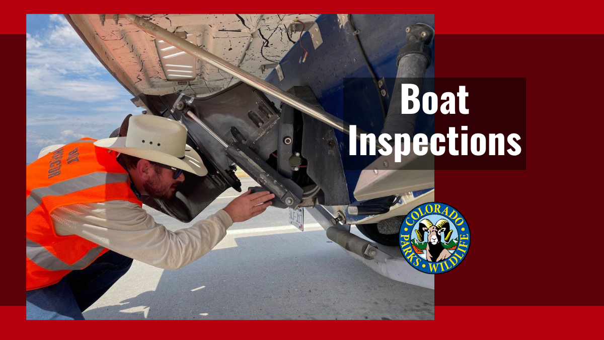 Boaters Prepare for Inspections | Colorado