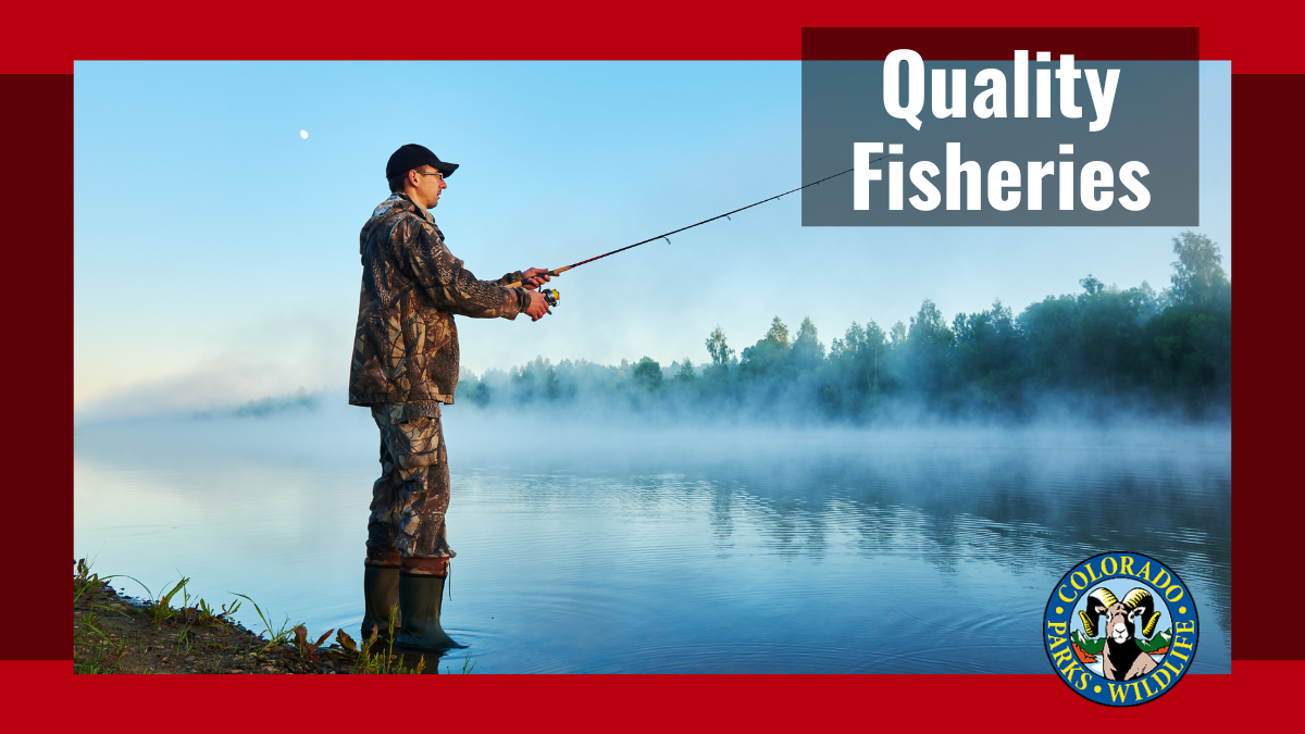 Quality Fisheries in Colorado