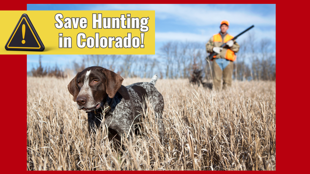 HELP! Save Hunting in Colorado