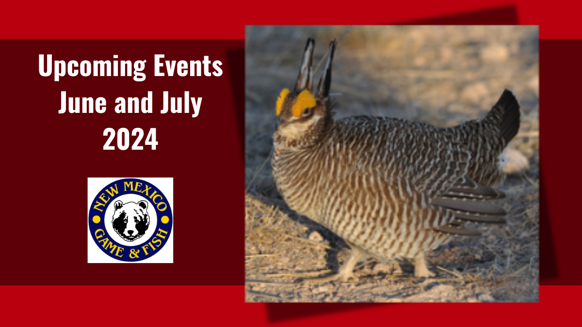 Summer Outdoor Events | New Mexico