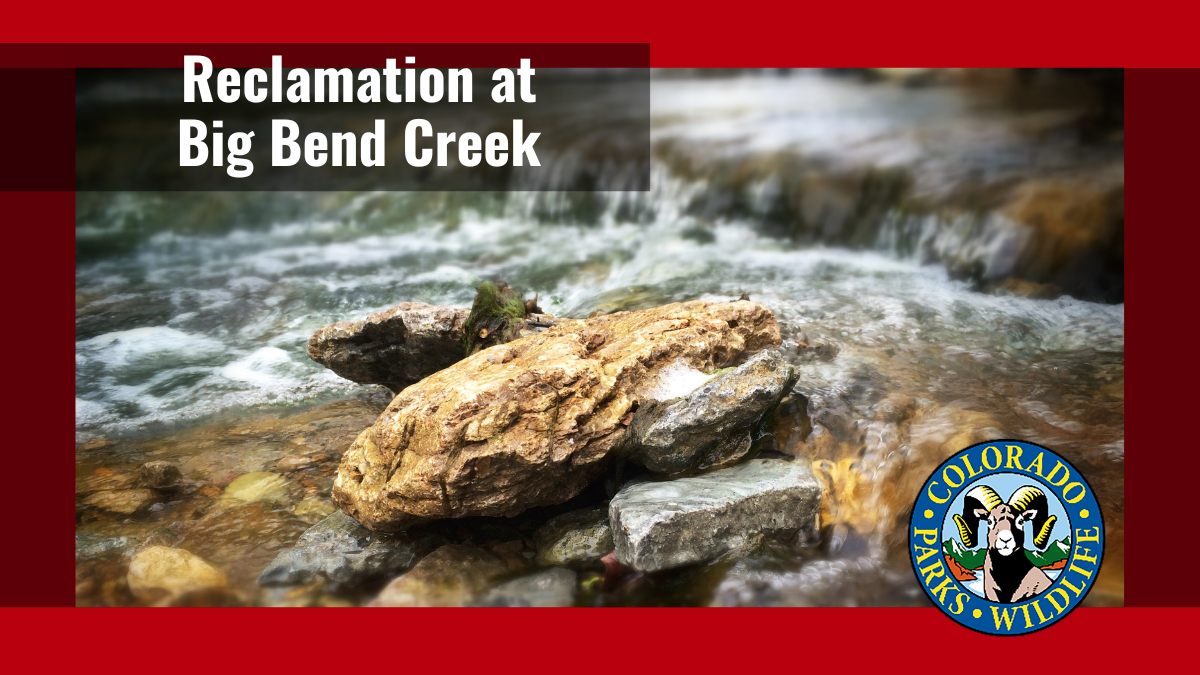 Reclamation at Big Bend Creek | Colorado