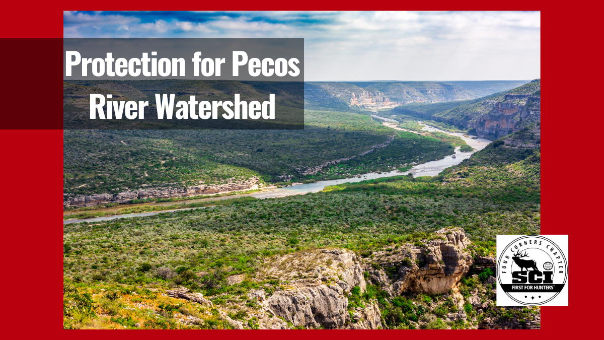 Protection for Pecos River Watershed | New Mexico