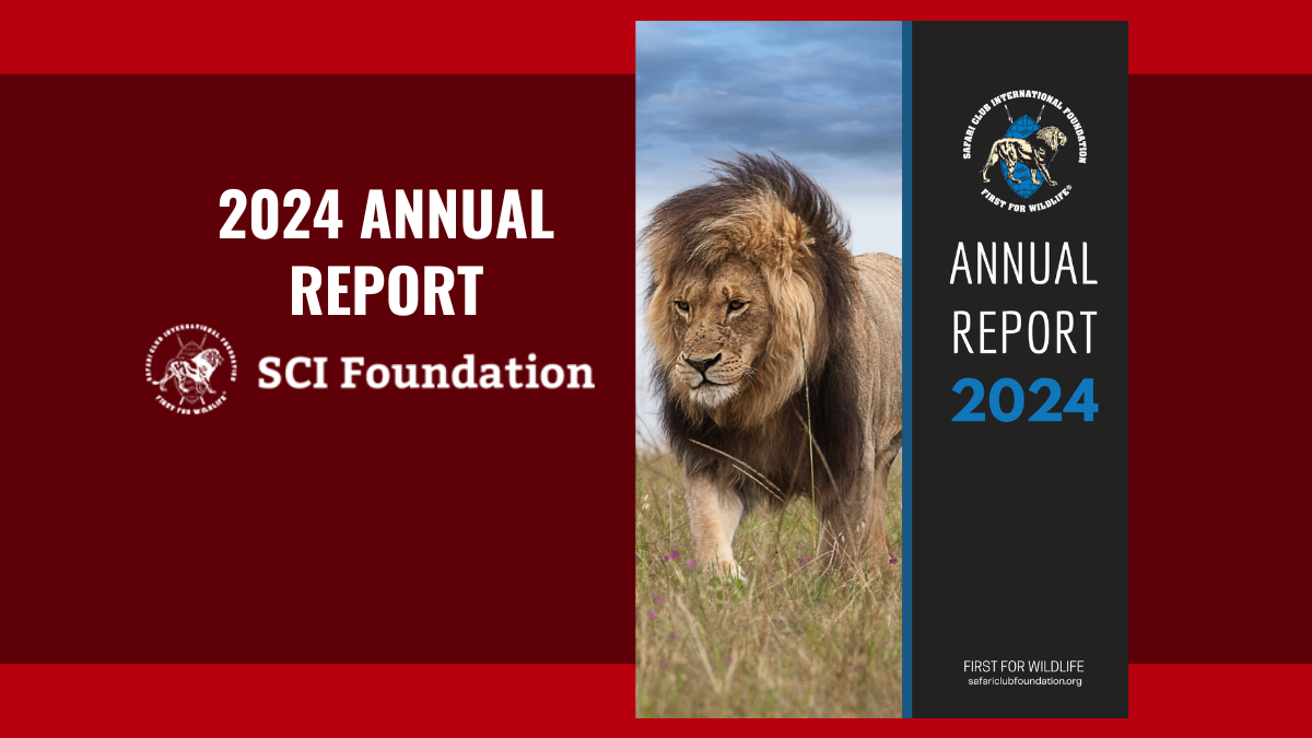 SCI Foundation’s 2024 Annual Report