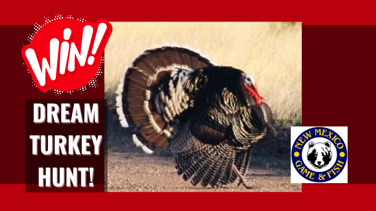 Gould’s Turkey Enhancement Hunt | New Mexico