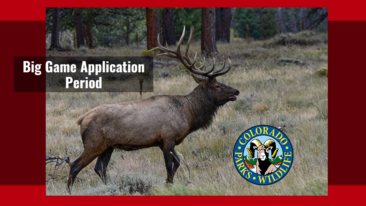 Big Game Application Period | Colorado