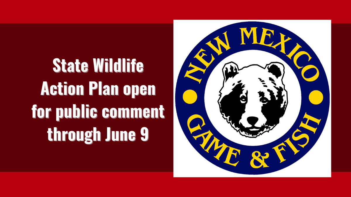 Wildlife Action Plan Comment Period | New Mexico