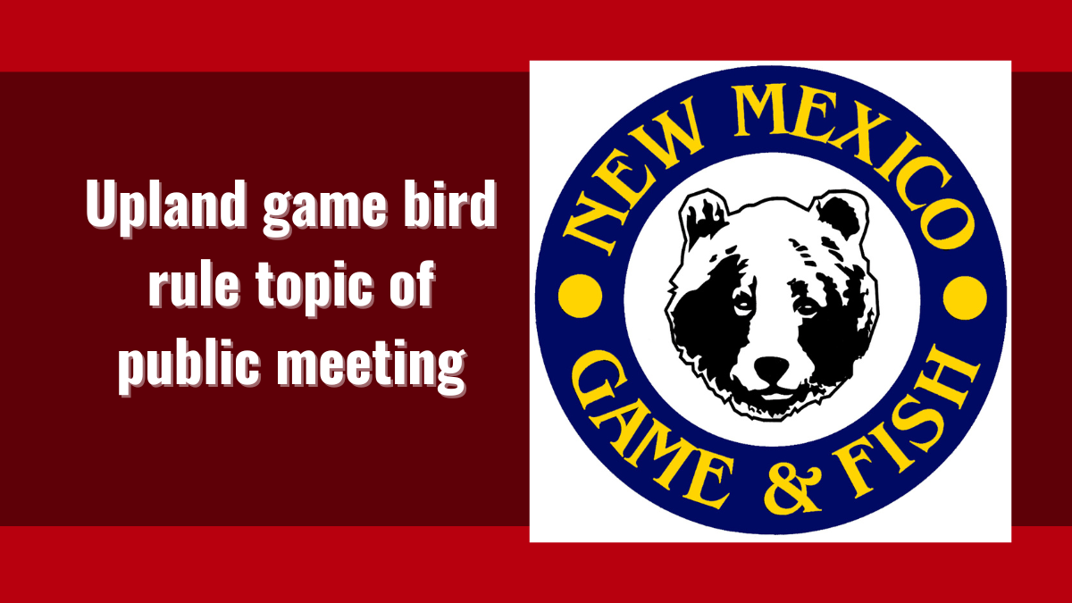 Upland game bird rule topic of public meeting | New Mexico