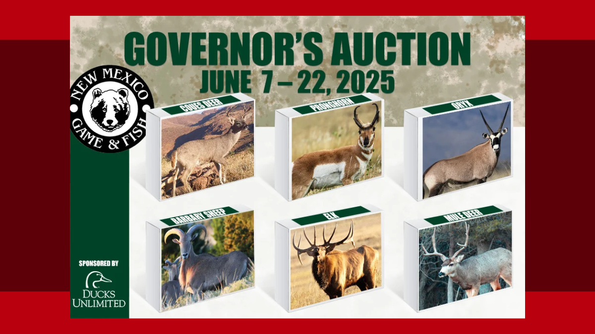 Governor’s Hunt Auction Online for 2025 | New Mexico