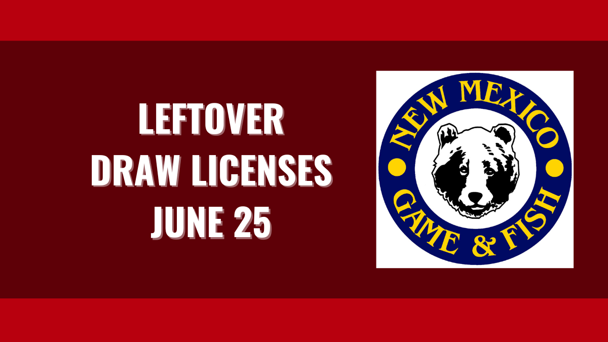 Leftover Draw Licenses Go on Sale June 25 | New Mexico