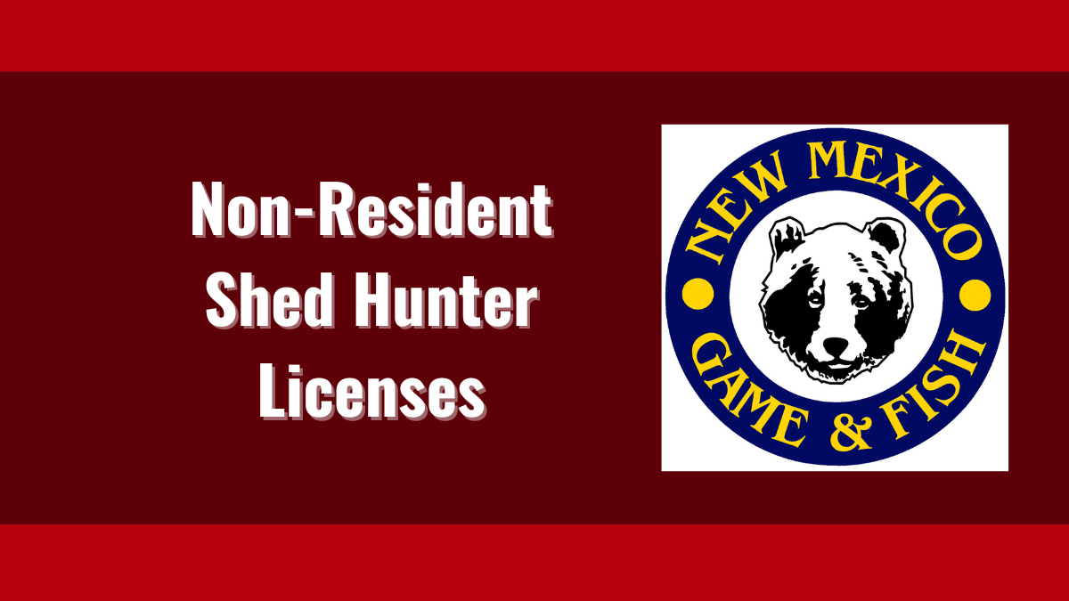 Non-Resident Shed Hunter Licenses Topic of Public Meetings | New Mexico