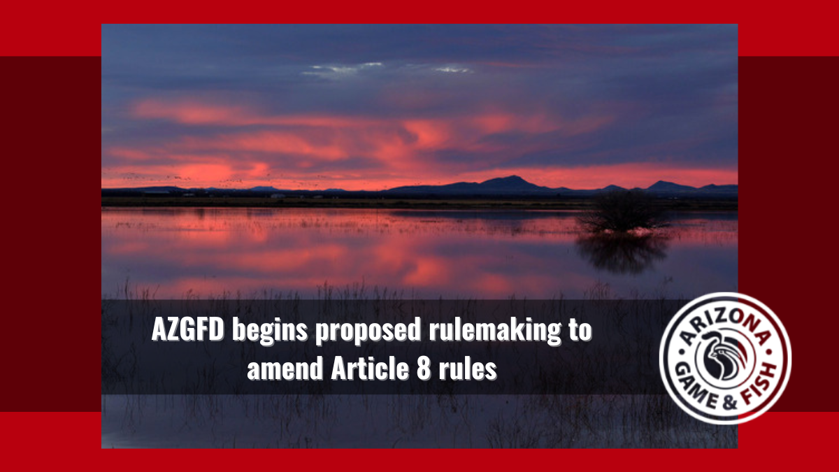 Notice to Amend 8 Rules | Arizona