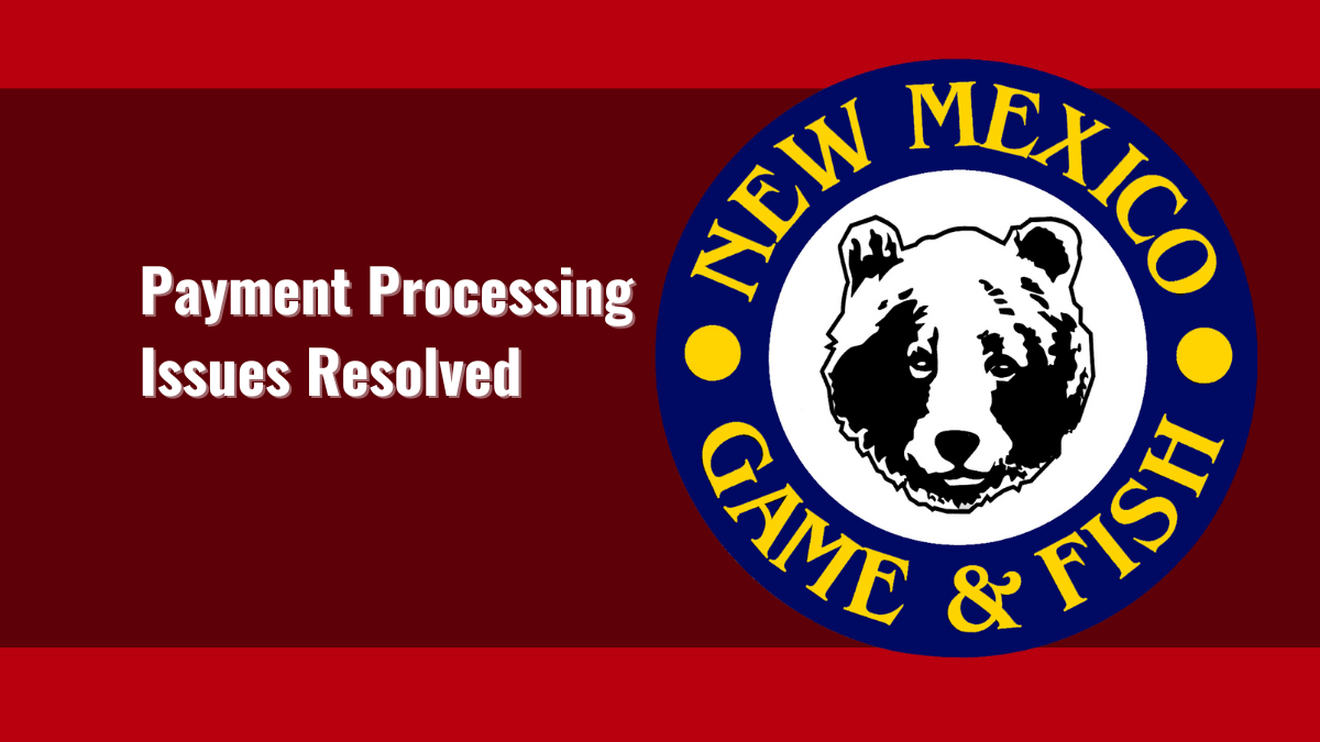 Payment Processing Issues Resolved | New Mexico