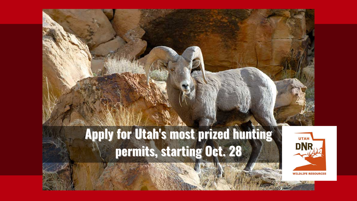 Apply for Prized Hunting Tags | Utah