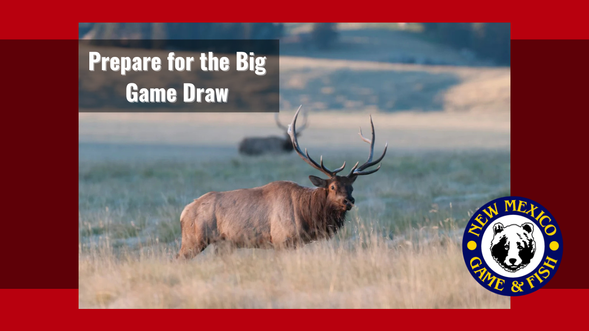 Prepare for the Big Game Draw | New Mexico