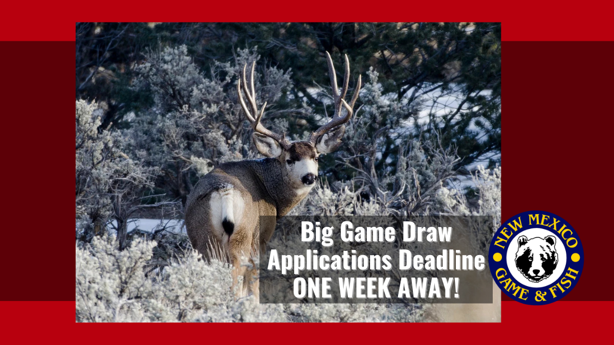 Big Game Draw Application Deadline ONE WEEK AWAY! | New Mexico