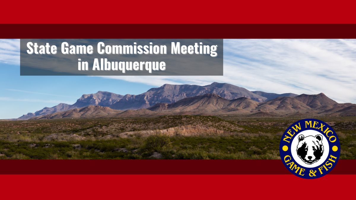 Commission Meeting Albuquerque | New Mexico