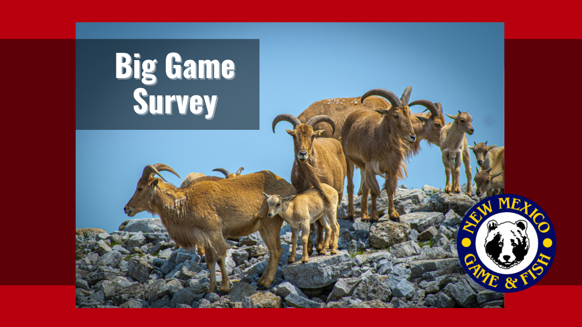 Big Game Wildlife Survey | New Mexico